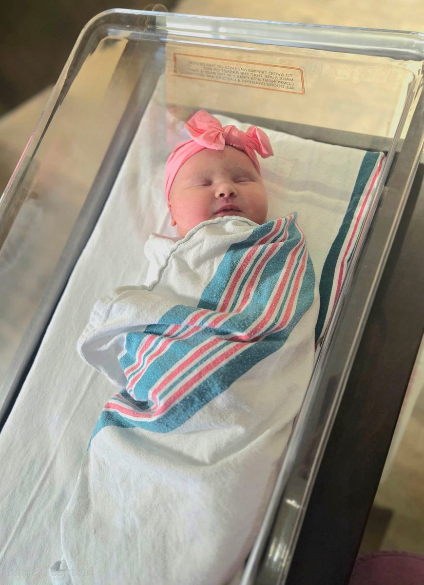 Shelby Waddell tweet media