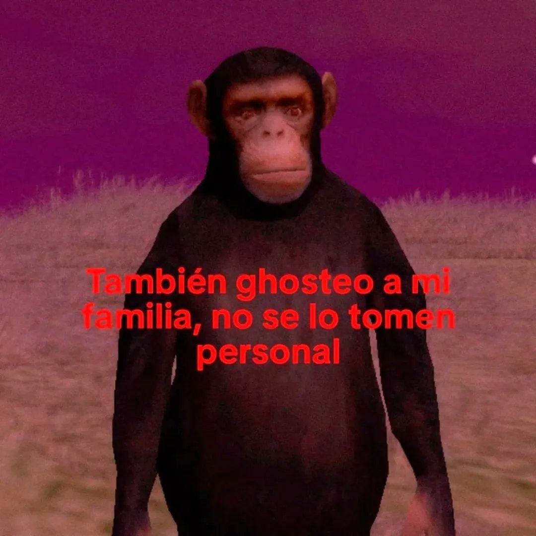 Ojos color sol tweet media