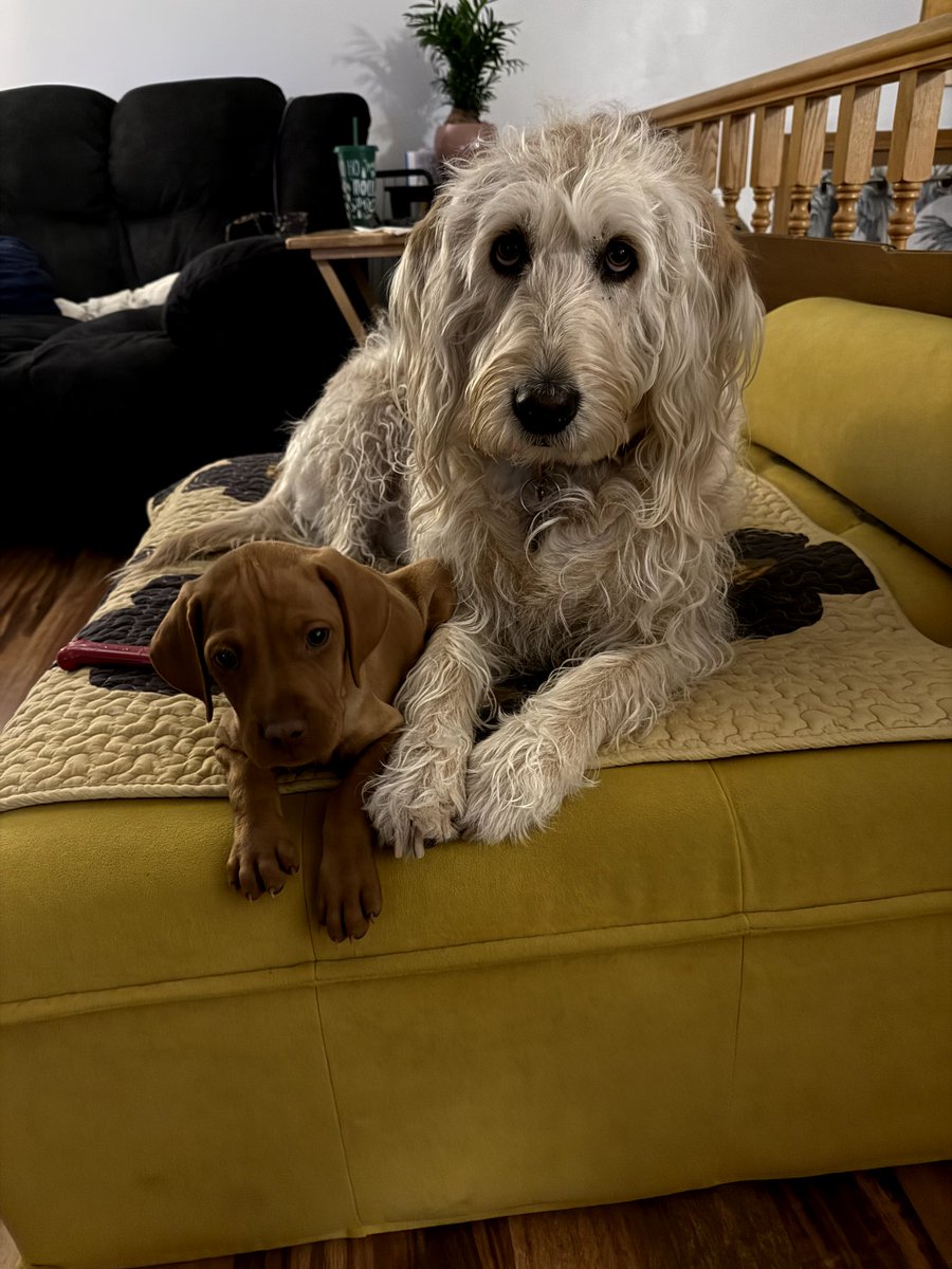 John M. Bishop tweet media