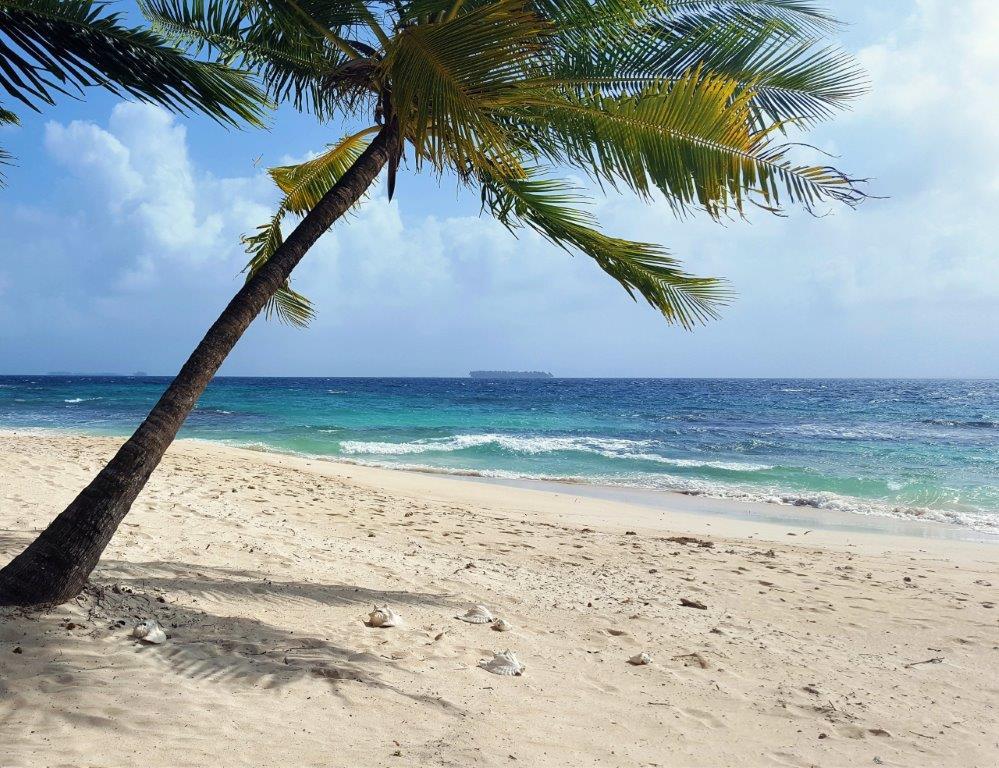 CompassandFork's tweet image. Relaxing at the Beach in the San Blas Islands bit.ly/2smfS3n #beach #detox #travel #traveltuesday #ttot