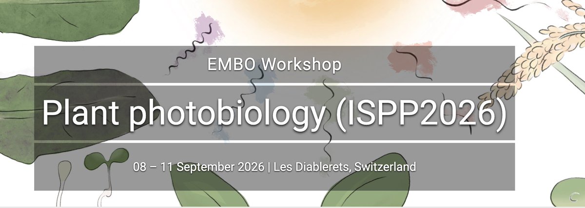 Christian Fankhauser tweet media