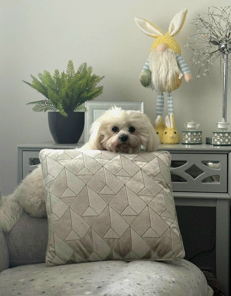 Big Mags tweet media