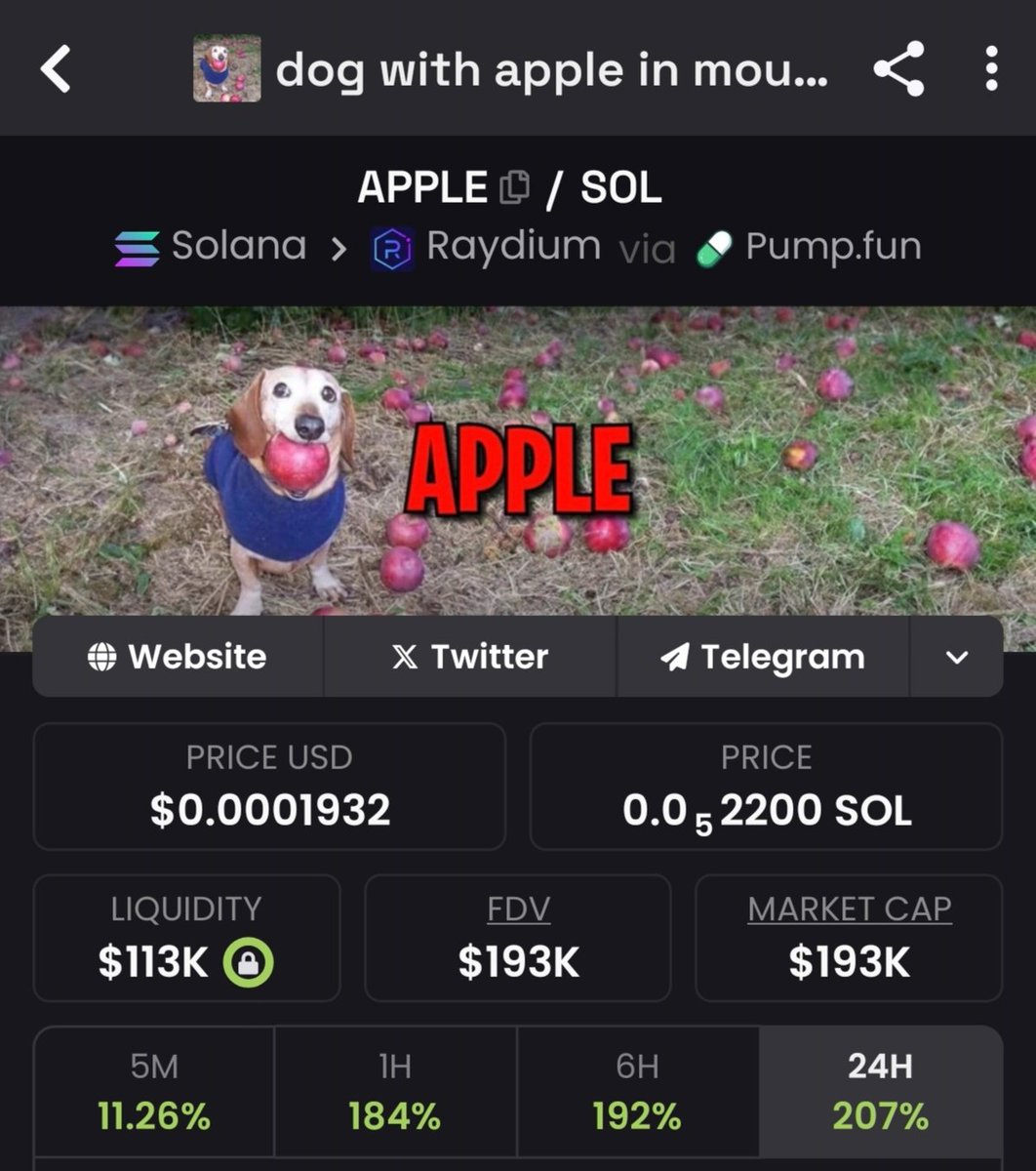 Raj_TheCrypto's tweet photo. aped $Apple dog narrative by elon musk dog, After a long time later its back to moon

H33XL6HHDReCVRgSApZpsXM7Hy7JGyLztRJaGxjapump https://t.co/B59aF0VdqV