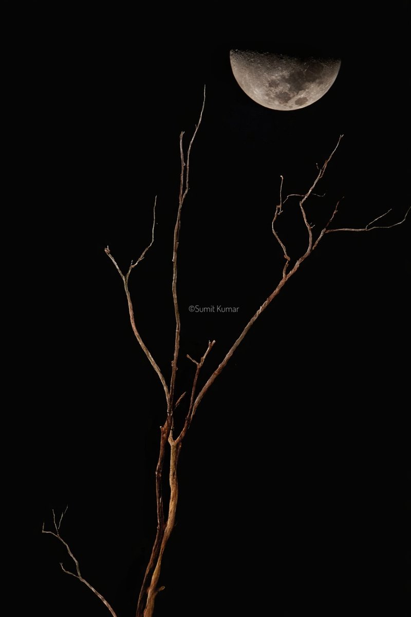 skphotography68's tweet photo. Even in half light, the moon knows how to shine. Silence speaks louder under the night sky.
#moonlight #skylovers #instanight #nightphotography https://t.co/1MA6cb8q2i