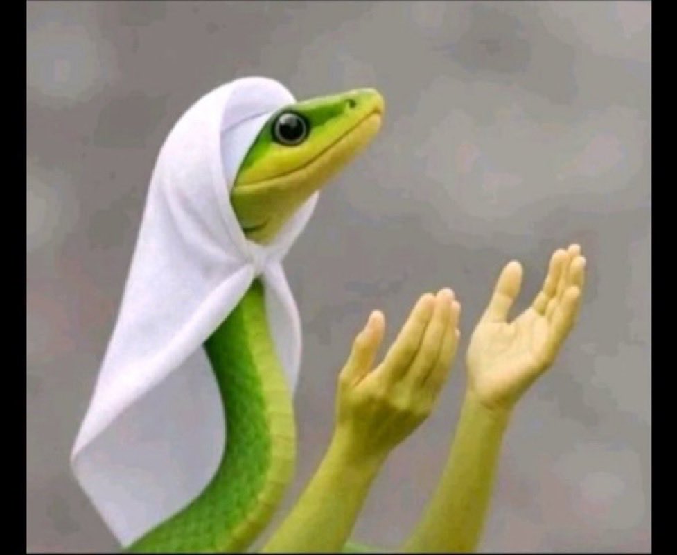 <a href="/AMAZlNGNATURE/">Nature is Amazing ☘️</a> No alcohol please it’s haram