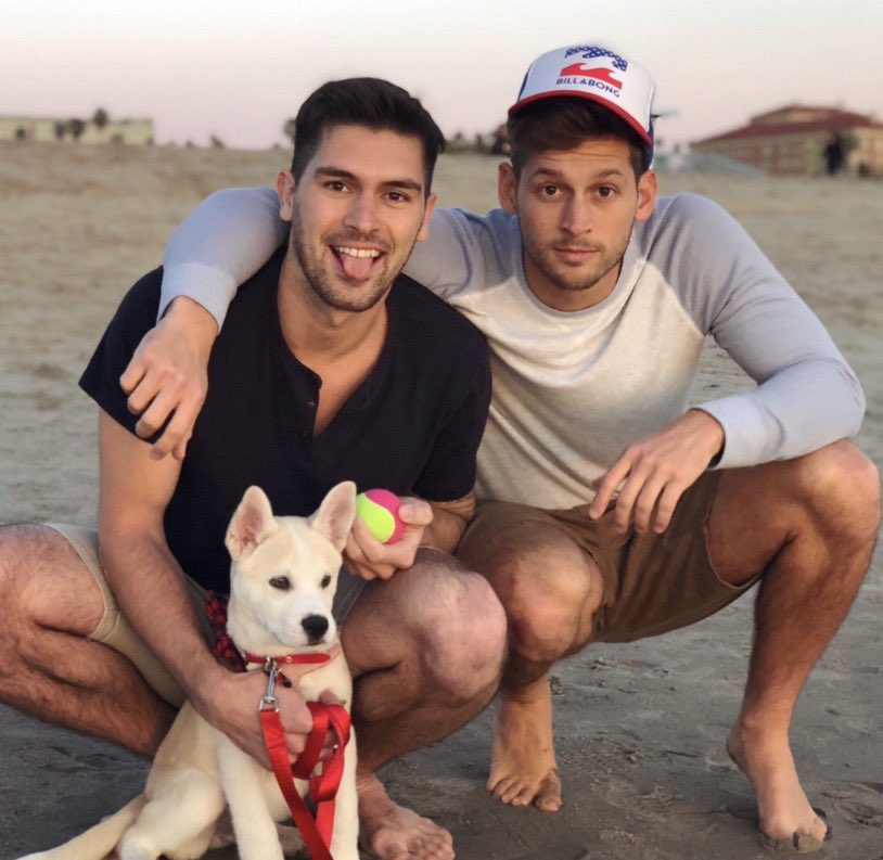 max emerson tweet media