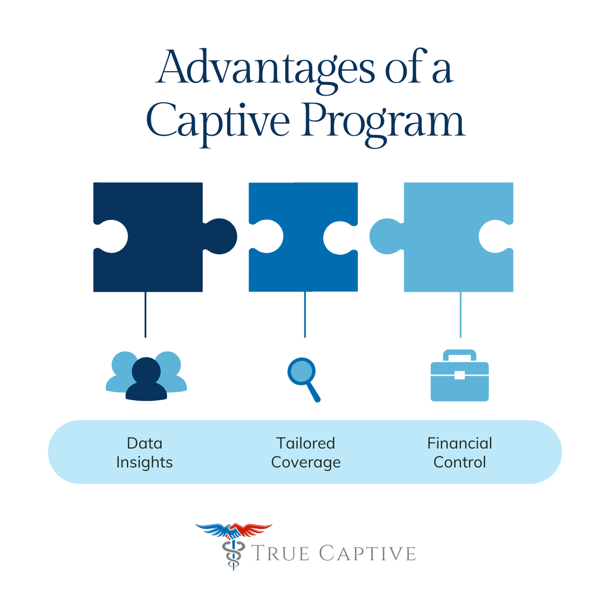TrueCaptive's tweet photo. Captives are solving puzzles in the healthcare insurance industry. 
Now is the time to prioritize educating yourself on the value they can deliver.

Schedule a meeting with True Captive today.

#Healthcare #HealthcareInsurance #CaptiveInsurance #StopLoss https://t.co/wgrOM3E5jH