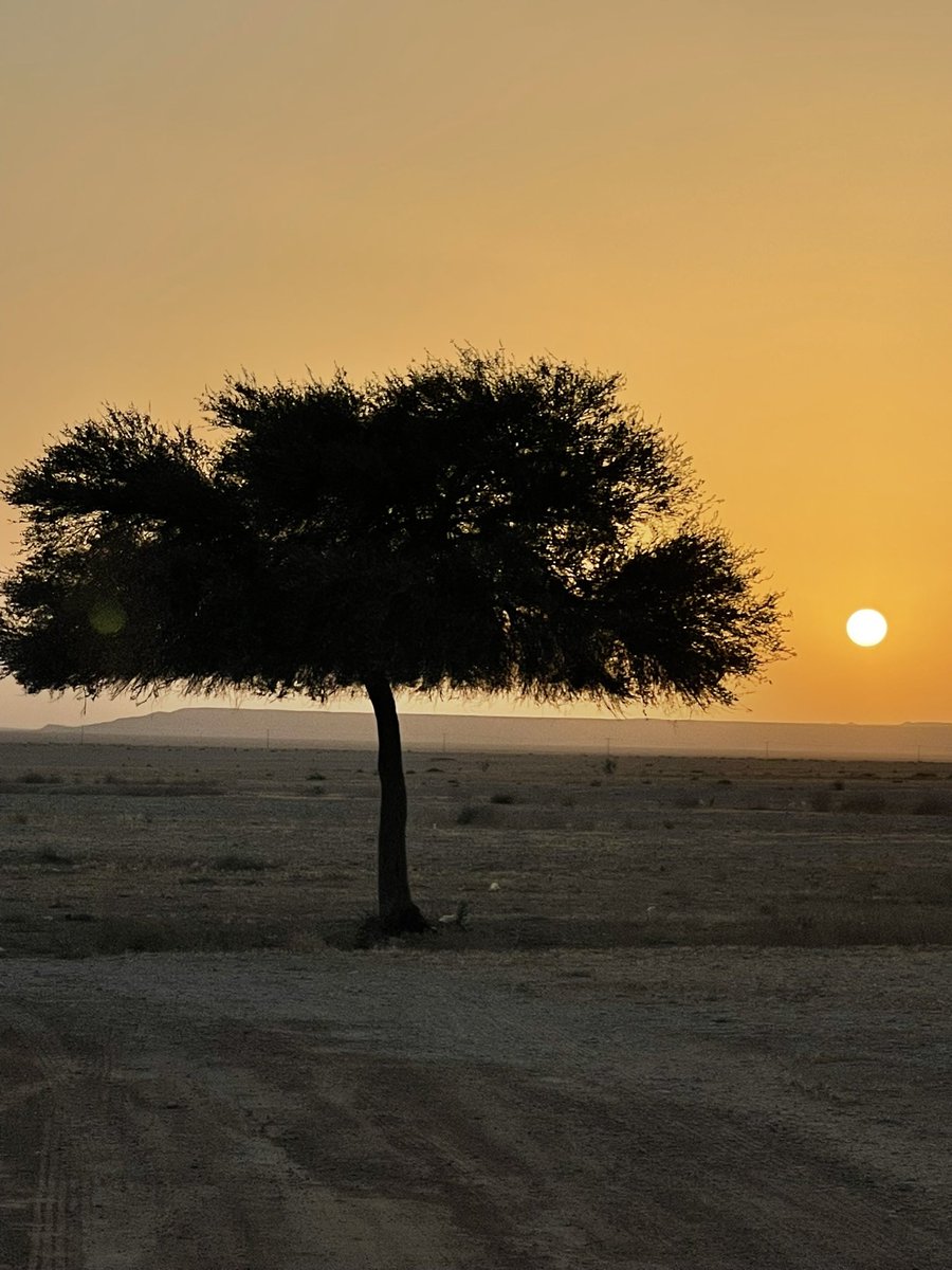 و انا بعون الله متانٍ  حبالي
                   متجوّدٍ بحبَال مِنشي المخيله
