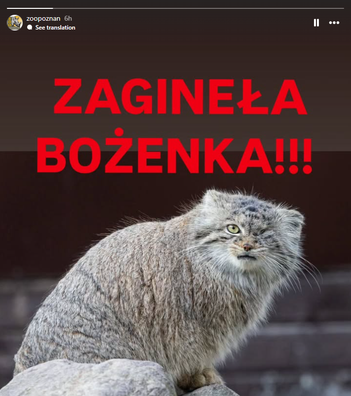 DailyMantle tweet media