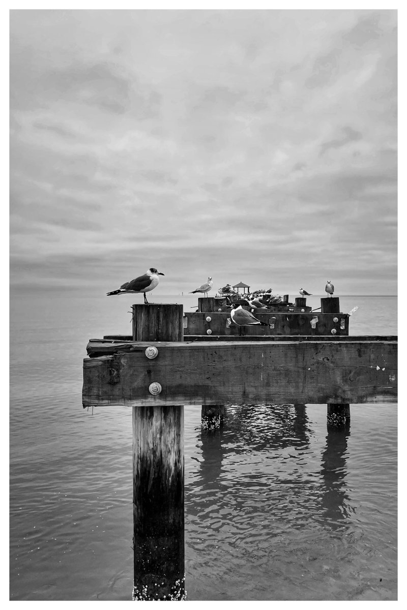 Donald_G_Redman's tweet photo. It’s black and white Wednesday.
Please share your #blackandwhitephotography 
#BlackandWhiteWednesday https://t.co/2Gt3mMNK8T