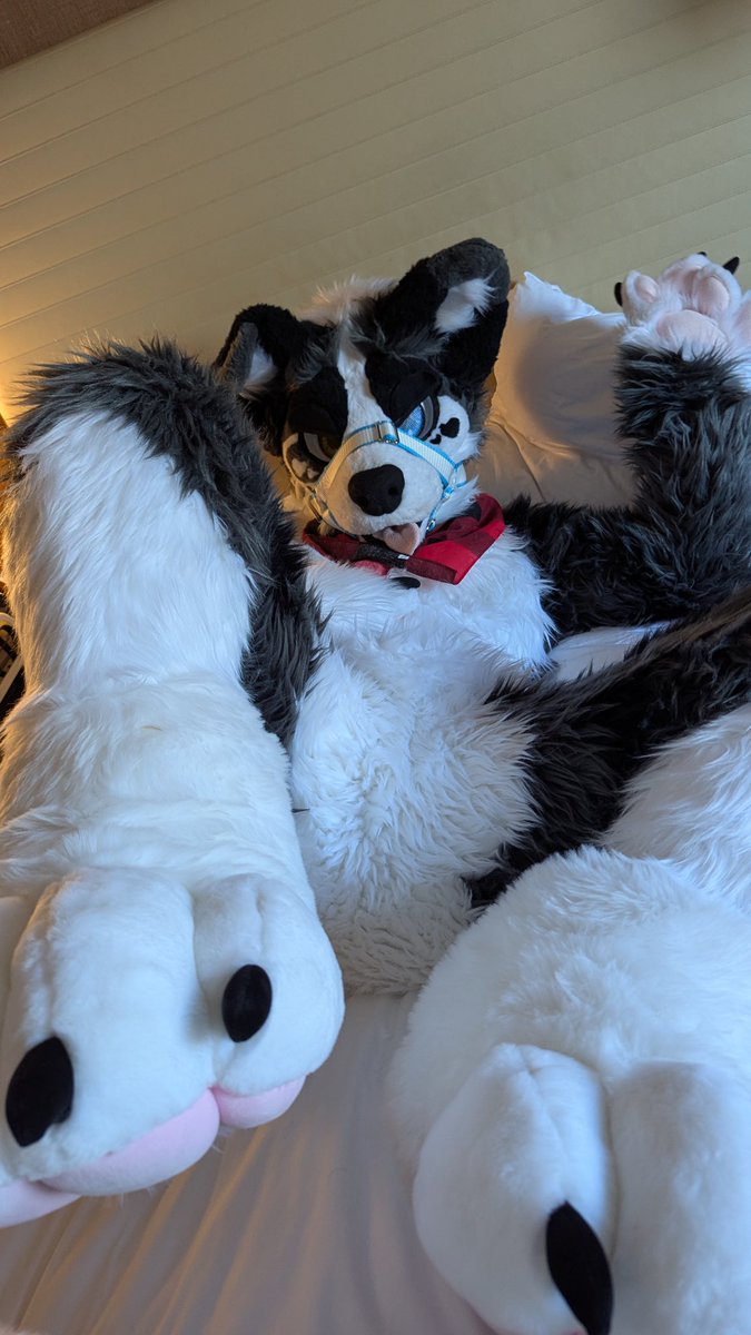 DIOR🐶 (2 PIECE) 🔜 TFF, LVFC 🎰 tweet media