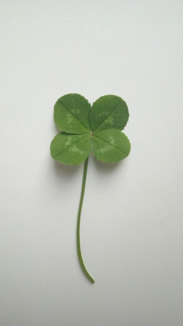 chakidbest29's tweet photo. i’m so lucky 
🍀💚🍀💚

i’m so lucky 
🍀💚🍀💚 

i’m so lucky 
🍀💚🍀💚

i’m so lucky 
🍀💚🍀💚

i’m so lucky 
🍀💚🍀💚

i’m so lucky 
🍀💚🍀💚

i’m so lucky 
🍀💚🍀💚 https://t.co/hT4nizy4Rr
