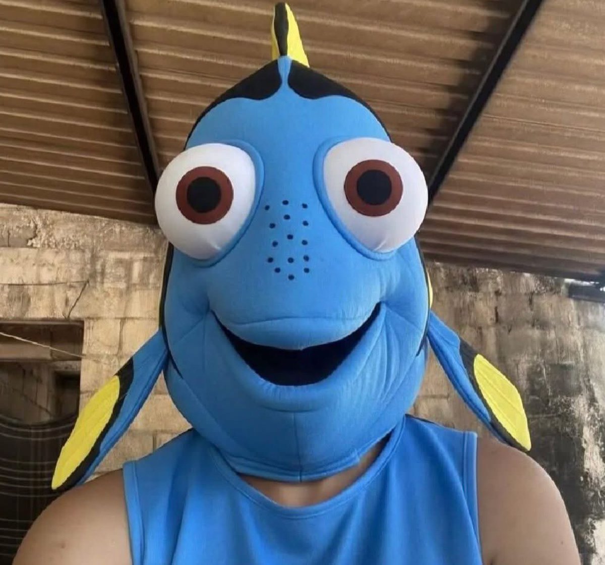 corridosybandas's tweet photo. Si yo fuera un therian, sería el pez Dori, porque todo se me olvida alv https://t.co/4pHIomc63M