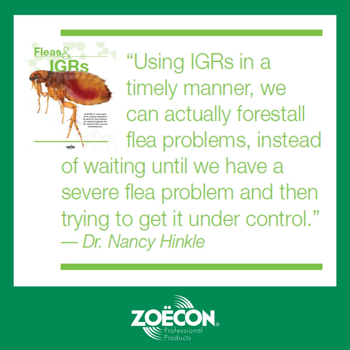 ZoeconCentralLS tweet media