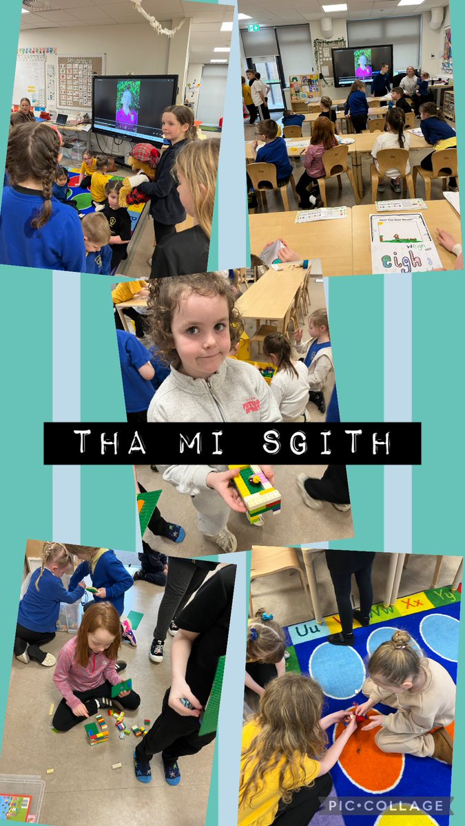 Sacred Heart Primary tweet media