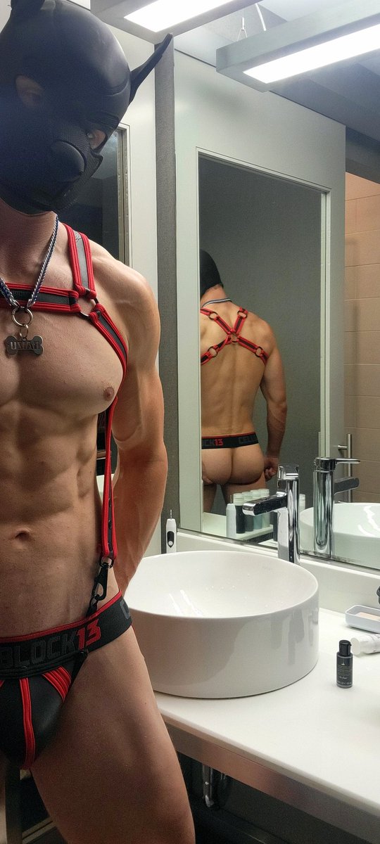 Raizu TheFox tweet media