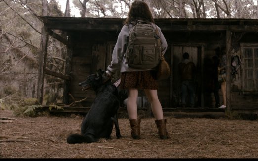 Evil Dead Burn tweet media