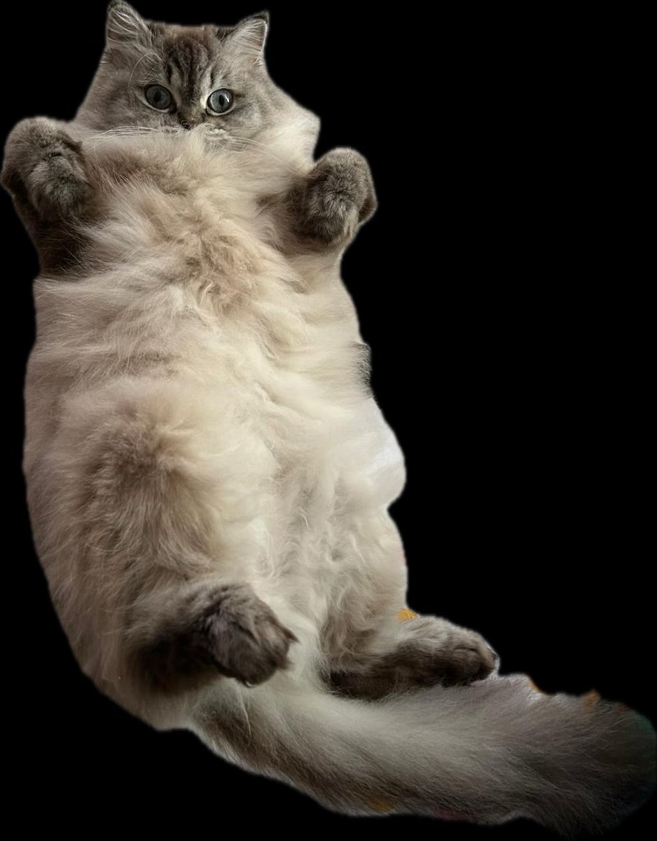 Sol Song - Moon Elf Vtuber and Vsinger tweet media