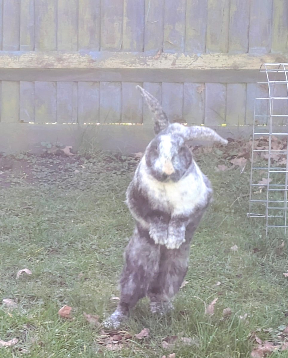 Ray can always make us smile 🥰🤣x