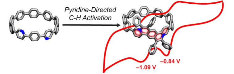 profjasti's tweet photo. Excited to share our latest work from @nanohoops: the first pyridine-directed C–H activation on a nanohoop, enabling stable, low-LUMO pyridinium CPPs for n-type organic materials. https://t.co/kdhZVC0DUk https://t.co/CQv52Uo21R