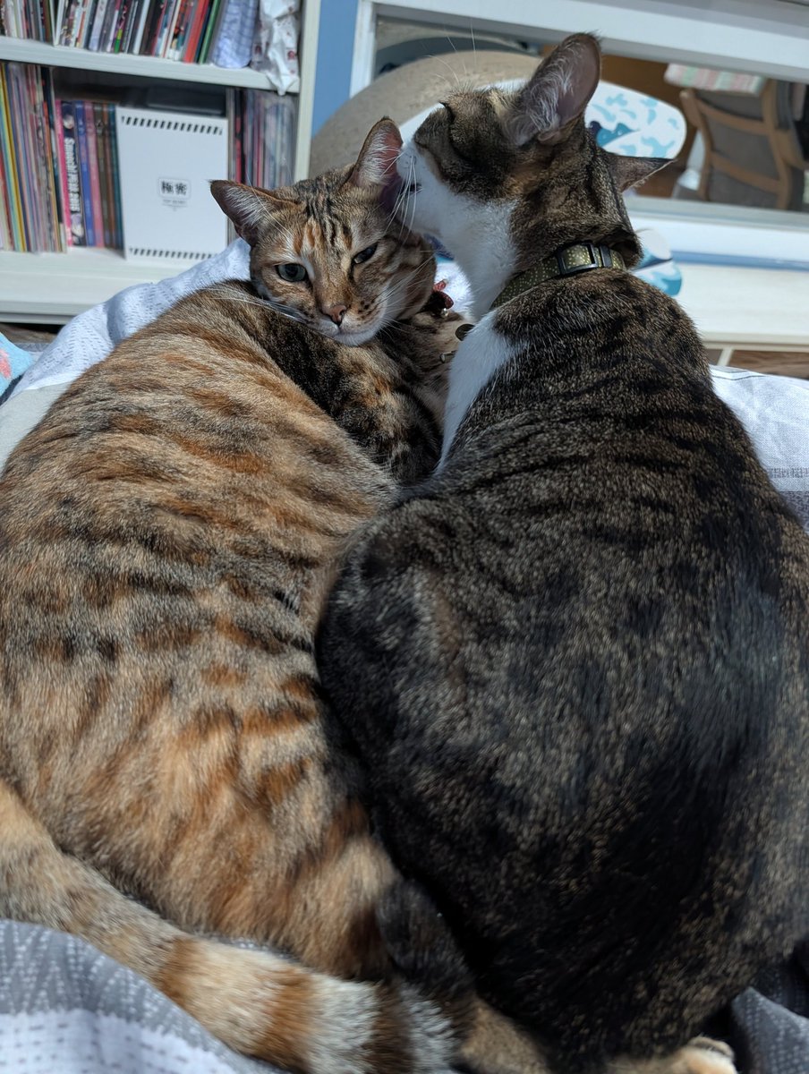 人類無法介入的空間……