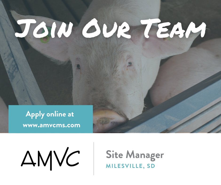 AMVCLLC's tweet photo. We're hiring! Join our team as a site manager and help produce the pork that feeds your community. Apply here: https://t.co/ZyeNVT0gZh https://t.co/9yB7zFT8ai