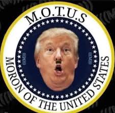 Denise🇺🇲 tweet media