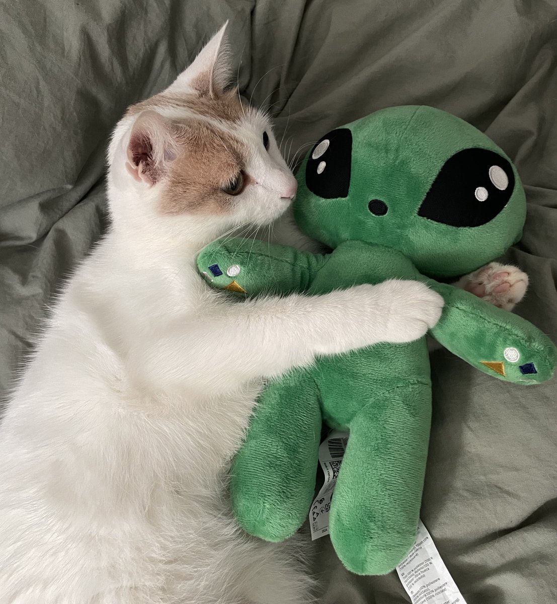 meime 🎐 tweet media