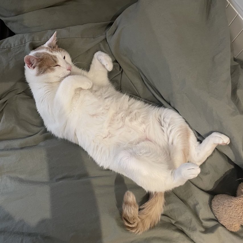 meime 🎐 tweet media