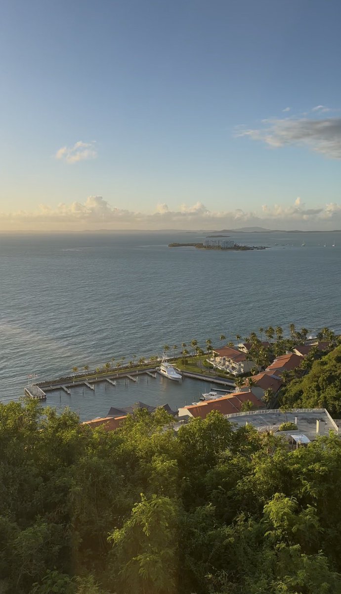 Monika Nukala, MD tweet media