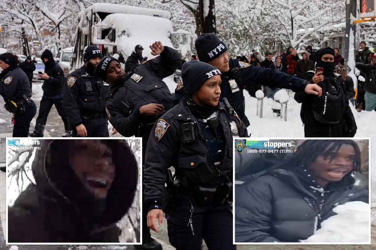 NYPD releases photos of 2 more ruffians wanted for pelting cops with snowballs in post-blizzard chaos trib.al/Ctm2OQW