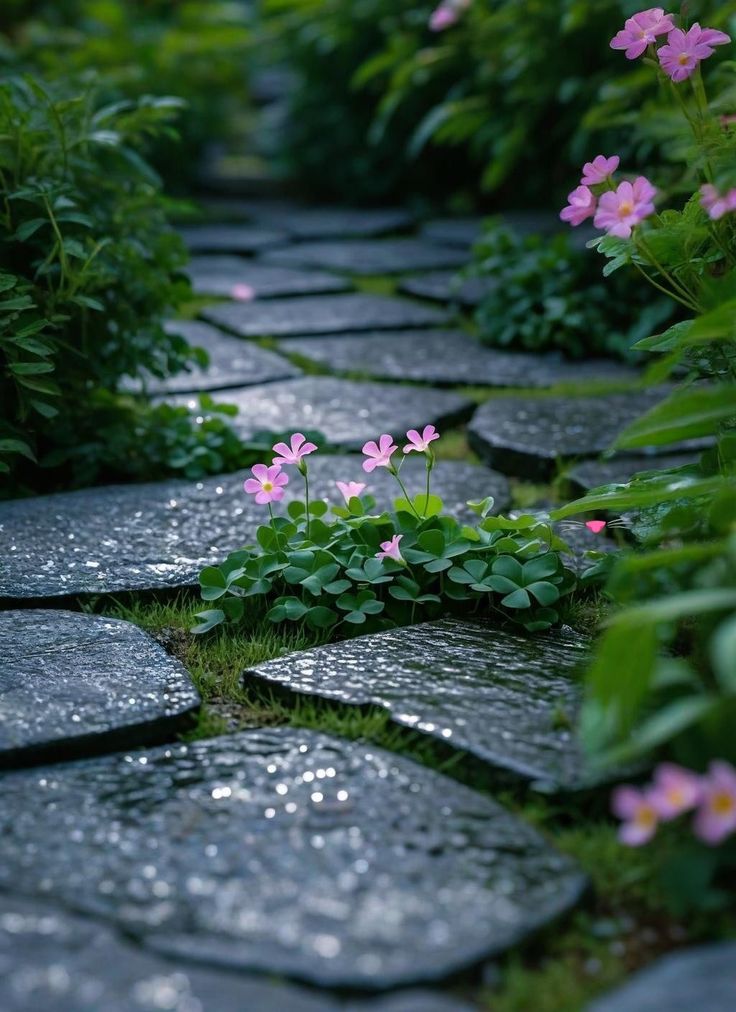 World Click (@worldclick56) on Twitter photo 