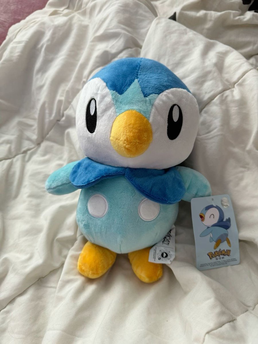 eguia_lis16's tweet photo. Quiero un Piplup de peluche OMG qué cosa más cute https://t.co/zQOWgrRX0T