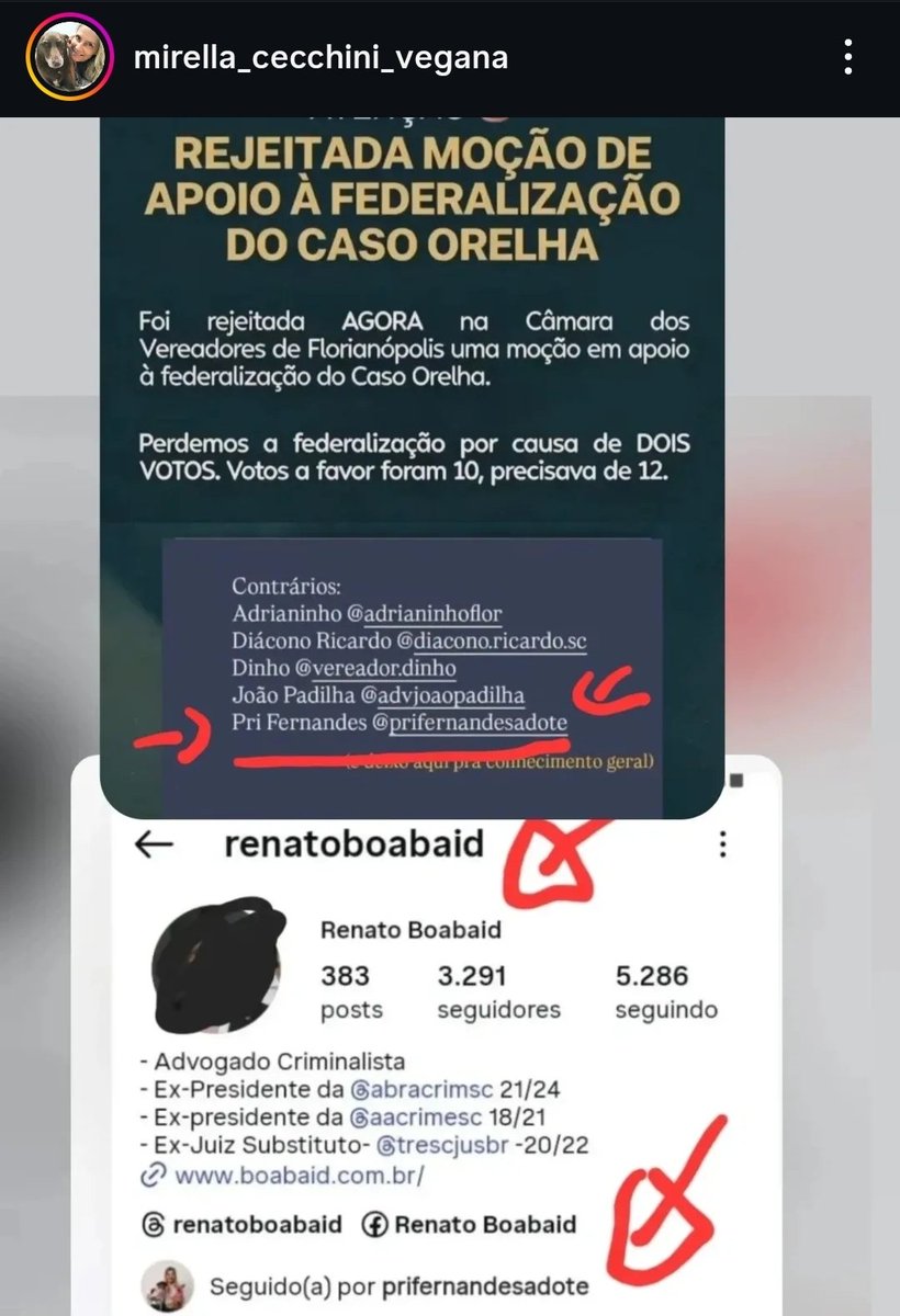 pinheiro_a56088's tweet photo. CASO ORELHA: VEREADORA JUDAS E O PIX GARANTIDO! 🚨💰
#UnidosPorOrelha https://t.co/modC1cfhSL