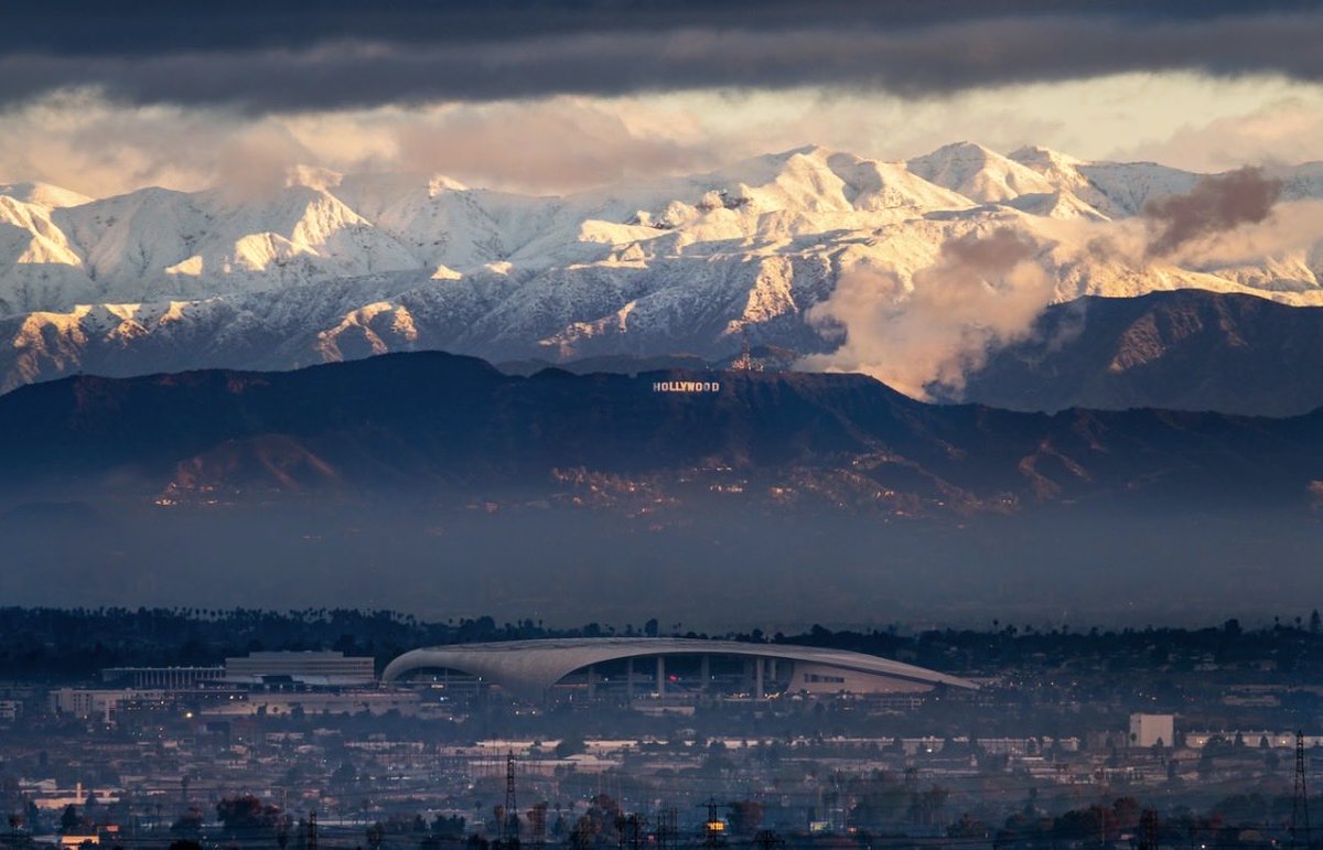 Brandon Yoshizawa tweet media