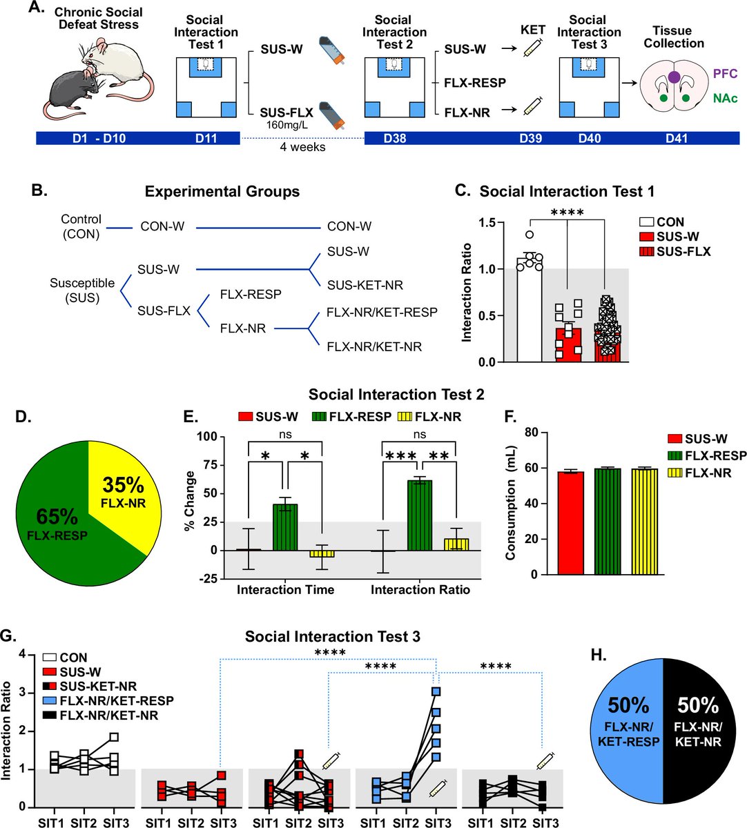 Friedman Brain Institute tweet media