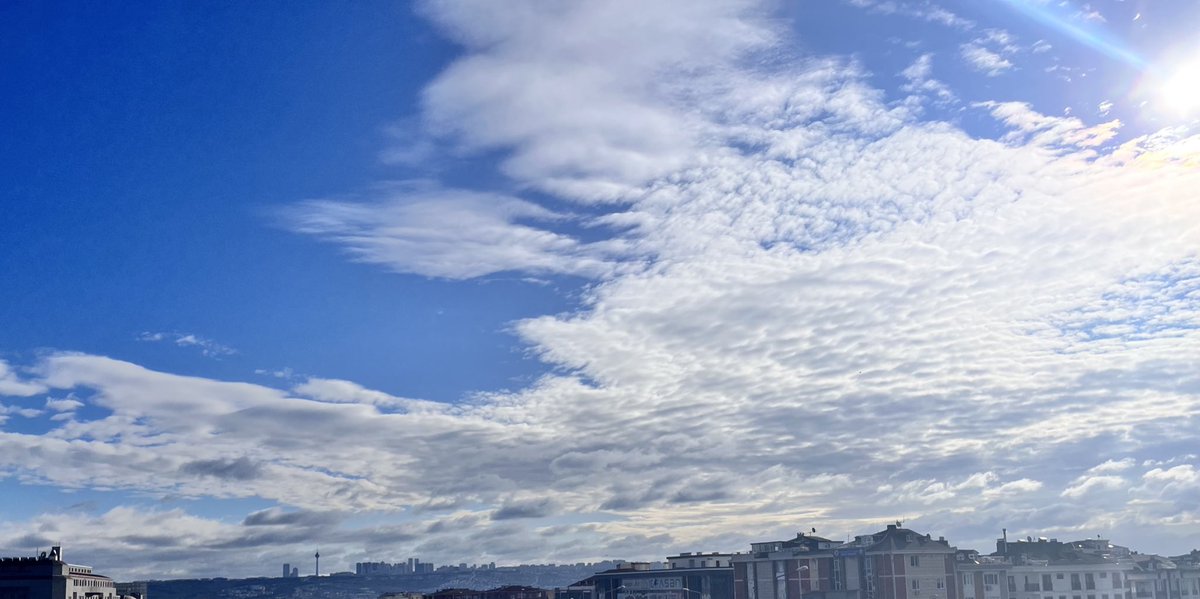ucanlamba's tweet photo. bizim hayatın rutin akışı https://t.co/G8Y1dNMGnX