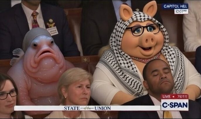 Mor Edge Insight tweet media