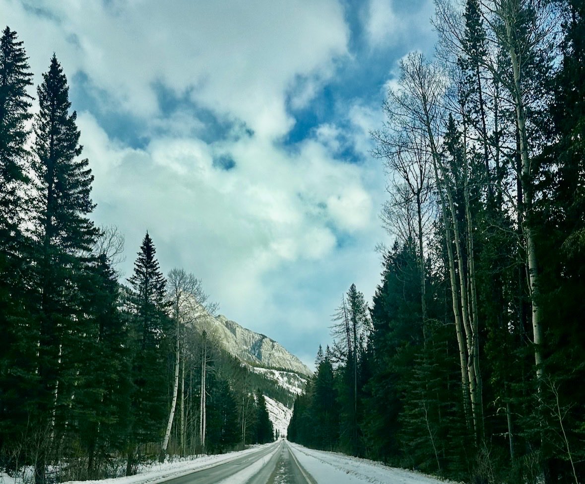 Day 150:
<a href="/Alberta_UCP/">United Conservative Party of Alberta</a>, time to call a #FullPublicInquiryAB 
 into #CorruptCare 

Tweeting DAILY until the #UCP have a full public inquiry w/ #SubpoenaPower
#UCPSeparatists <a href="/ABDanielleSmith/">Danielle Smith</a>

The UCP needs to be held accountable for this next level corruption! #no90dayhealthcarefix