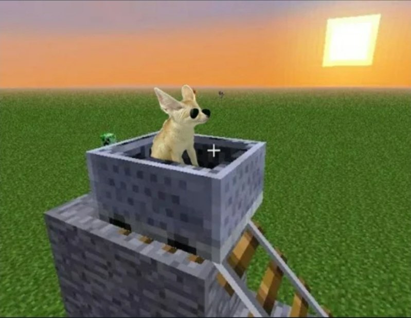 Get in baby girl let's go get tacos