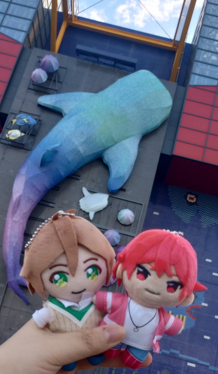 FFさんと遊んだよ!
プリ撮ったり水族館行ったり色々話せて楽しかった!🥰🥰
