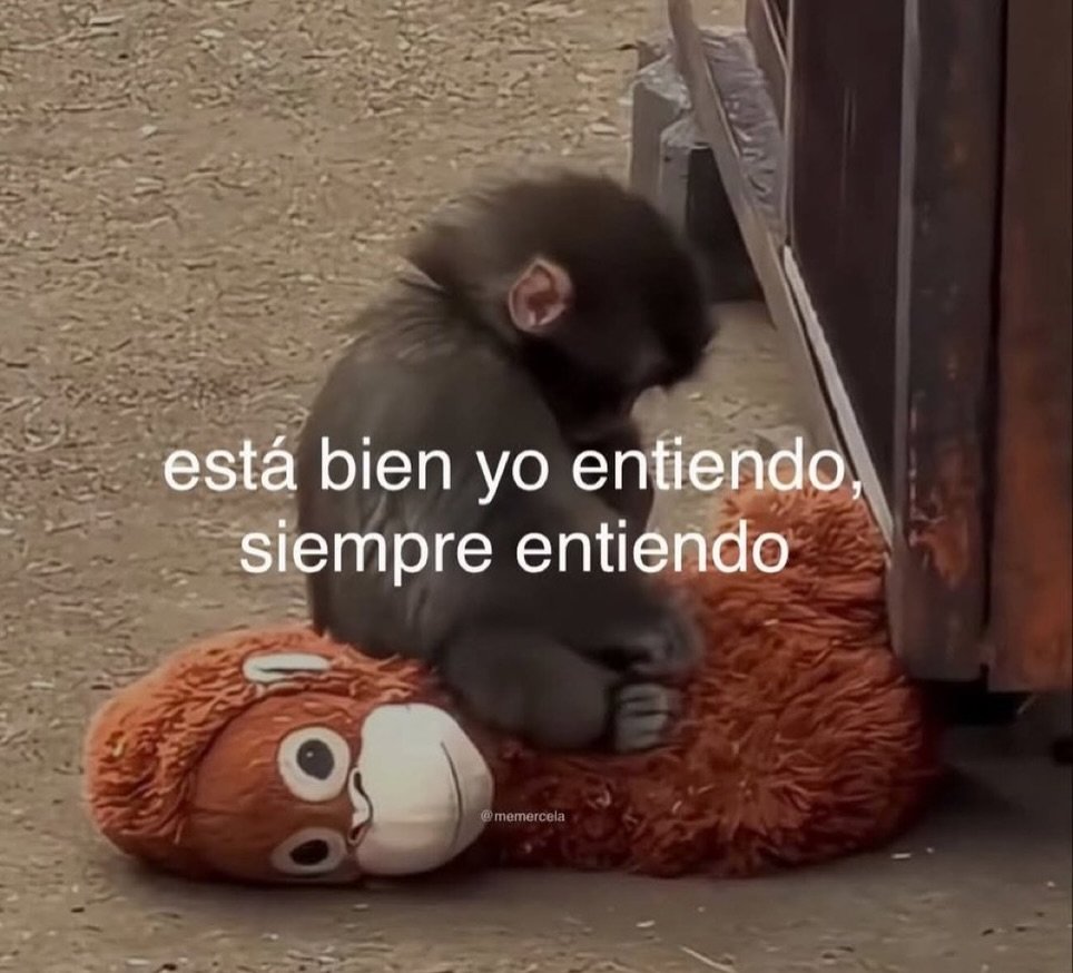 bauldefrases (@suspirxsalaire) on Twitter photo 