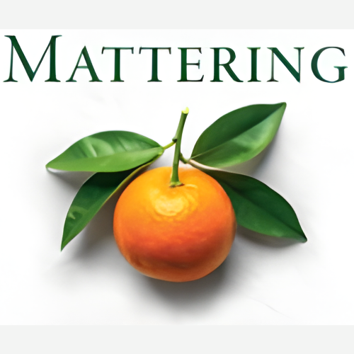 Connected Learning STL tweet media