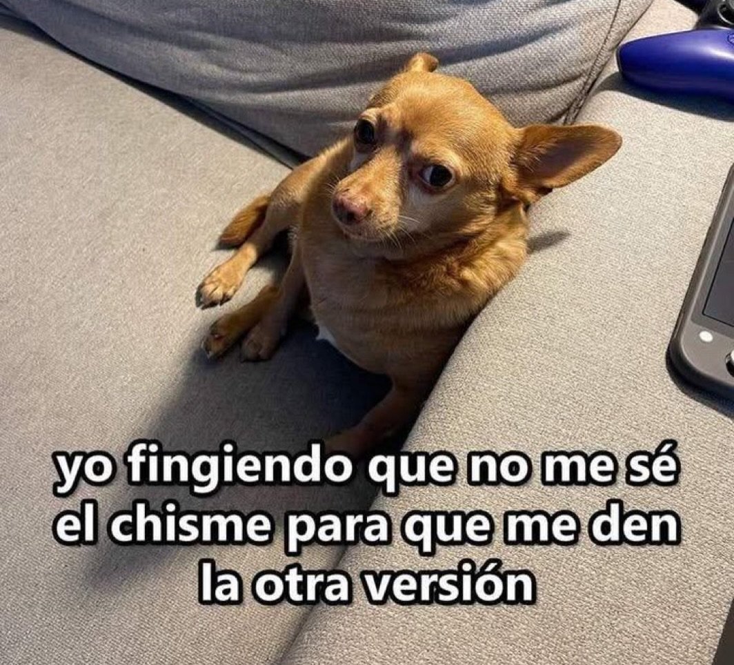 bauldefrases (@suspirxsalaire) on Twitter photo 