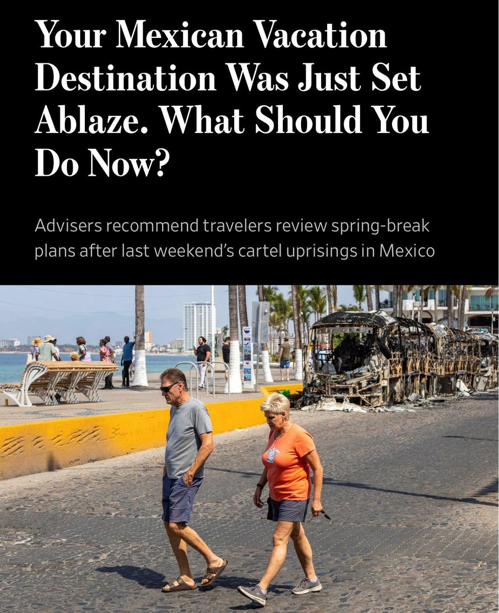 resting finchface 🤠 tweet media