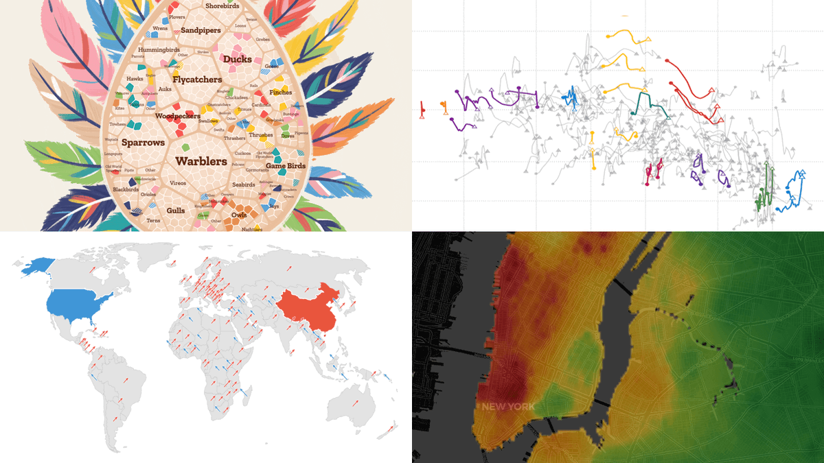 AnyChart tweet media