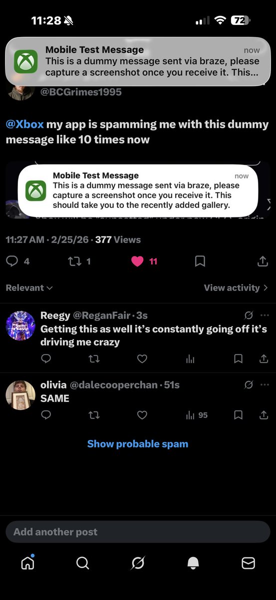 Brandon tweet media