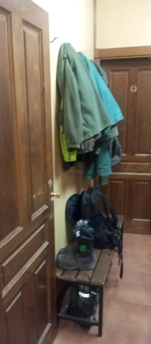 Winz@ 🚒🌲 tweet media