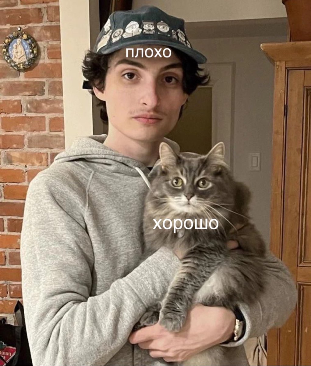 <a href="/CuteL24/">Lu(na)</a> я фин ты кот