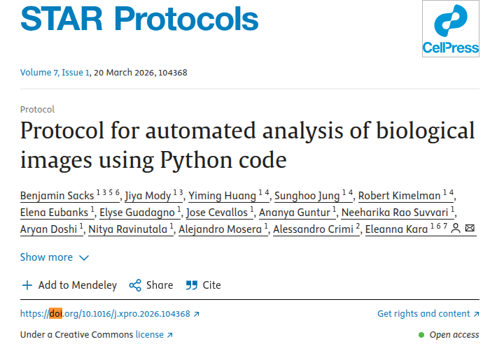 Dr_Alex_Crimi's tweet photo. Check our yet another "Protocol for automated analysis of biological images using #Python code"  https://t.co/A9MhzLrj3U
-Steps for the analysis of confocal images through Python
-Guidance on the usage of machine learning for #cellsegmentation
-Troubleshooting of common issues https://t.co/i0TXJjgX76